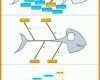 Hervorragen ishikawa Diagramm Vorlage 735x1102