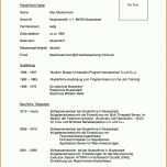 Faszinierend Tabellarischer Lebenslauf Vorlage Pdf 2483x3510