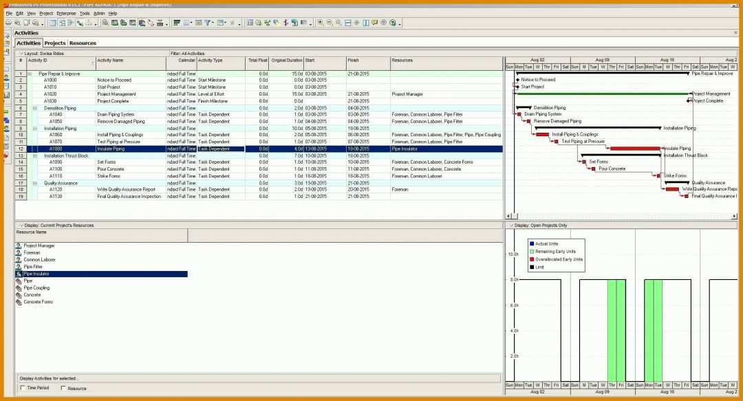 Singular Raci Matrix Vorlage 1901x1027