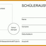 Am Beliebtesten Schülerausweis Vorlage 800x525