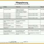 Beste Pflegeplanung Vorlage 1497x1058