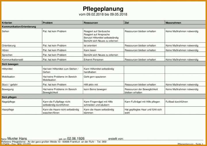 Beste Pflegeplanung Vorlage 1497x1058