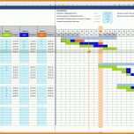 Auffällig Projektstrukturplan Vorlage Excel 1801x979