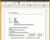 Atemberaubend Protokoll Vorlage Openoffice 978x825