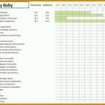 Singular Projektstrukturplan Vorlage Excel 1226x733