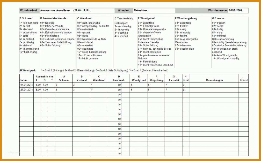Beeindruckend Wunddokumentation Vorlage 1401x863