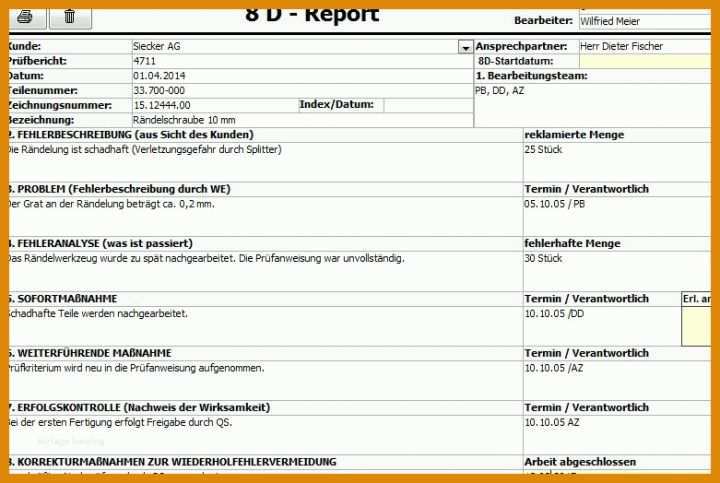 Singular 8d Report Vorlage Pdf 781x524