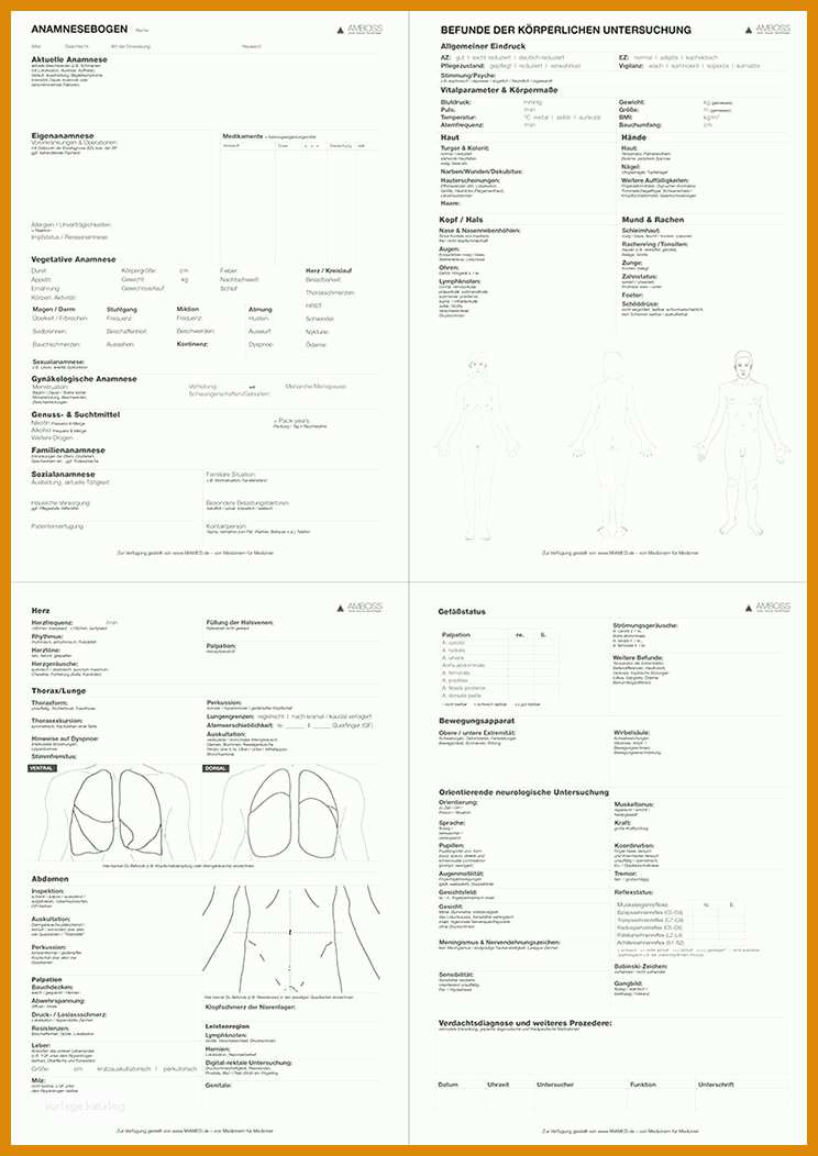11 Einzahl Anamnesebogen Vorlage Kostenlos Für Sie - Muster & Vorlagen ...