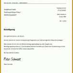 Beste Kündigung Vertrag Vorlage Pdf 832x874