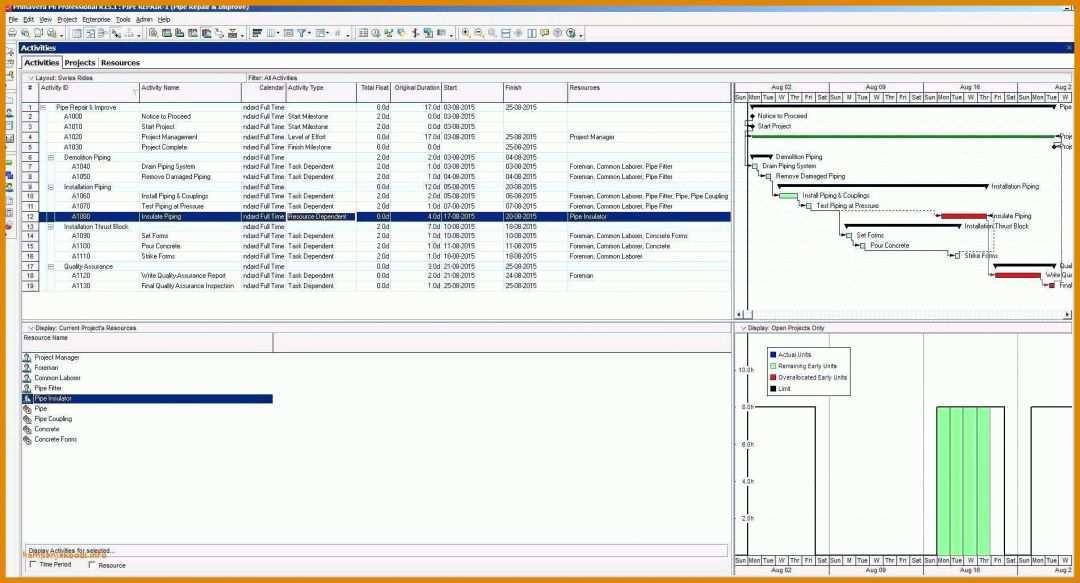 Singular Excel Kostenlose Vorlagen 1901x1026