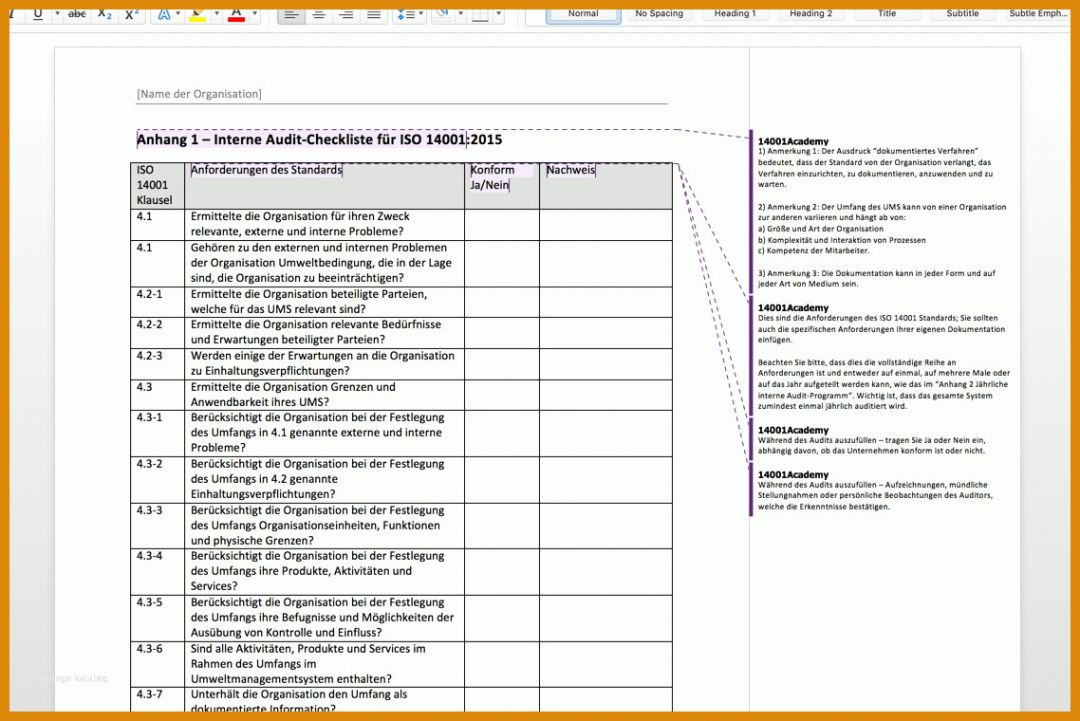 Faszinierend Interne Audits Vorlage 1138x760