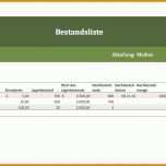 Tolle organigramm Erstellen Excel Vorlage Kostenlos 1682x846