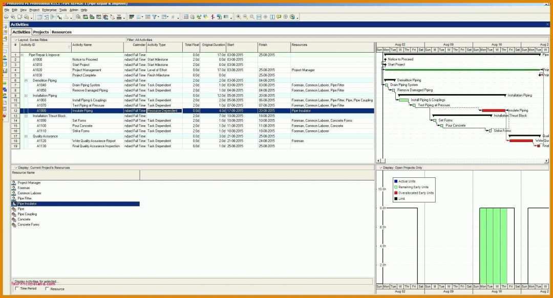 Toll Swimlane Diagramm Excel Vorlage 1901x1026