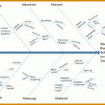 Spektakulär ishikawa Diagramm Vorlage 960x720