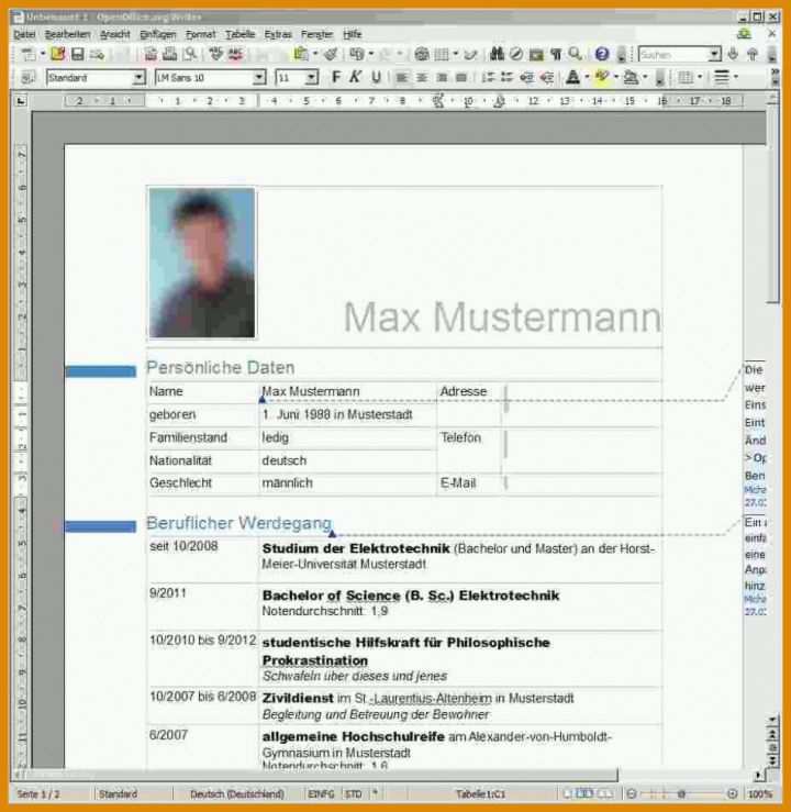 Überraschen Lebenslauf Vorlage Word 2007 950x975