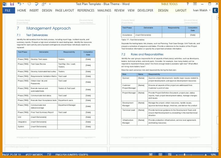 Überraschen Testplan Vorlage Excel 879x631