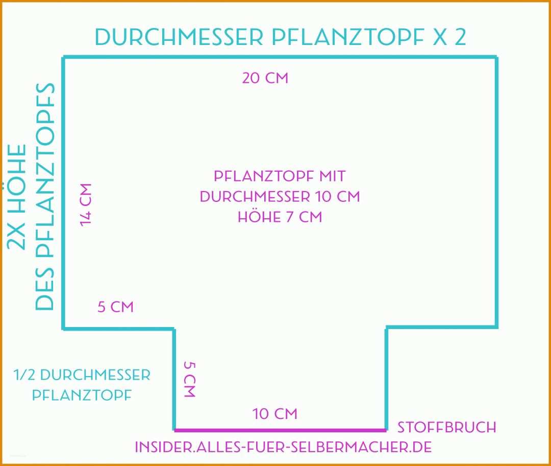 Wunderbar Pflanze Der Woche Berichtsheft Vorlage 2429x2052