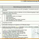 Erstaunlich Qm Arbeitsanweisung Vorlage 1236x894