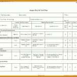 Angepasst Testplan Vorlage Excel 784x570