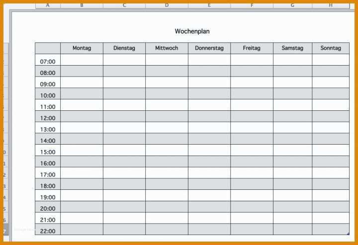 Hervorragend Medikamentenplan Vorlage 1044x715