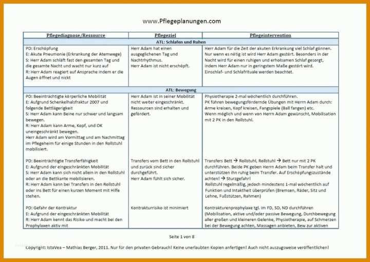 Erschwinglich Pflegeplanung Vorlage 1000x708