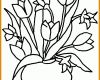 Neue Version Window Color Vorlagen Blumen 771x867