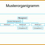 Schockieren organigramm Erstellen Excel Vorlage Kostenlos 1025x762