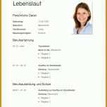 Neue Version Tabellarischer Lebenslauf Word Vorlage 800x1132