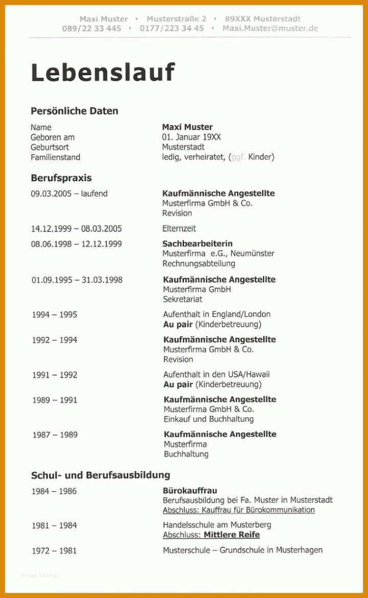 Fabelhaft Pdf Vorlage Lebenslauf 734x1193