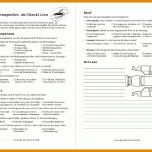 Faszinierend Fahrzeug Checkliste Vorlage 800x600