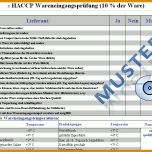 Selten Haccp Reinigungsplan Vorlage 886x669