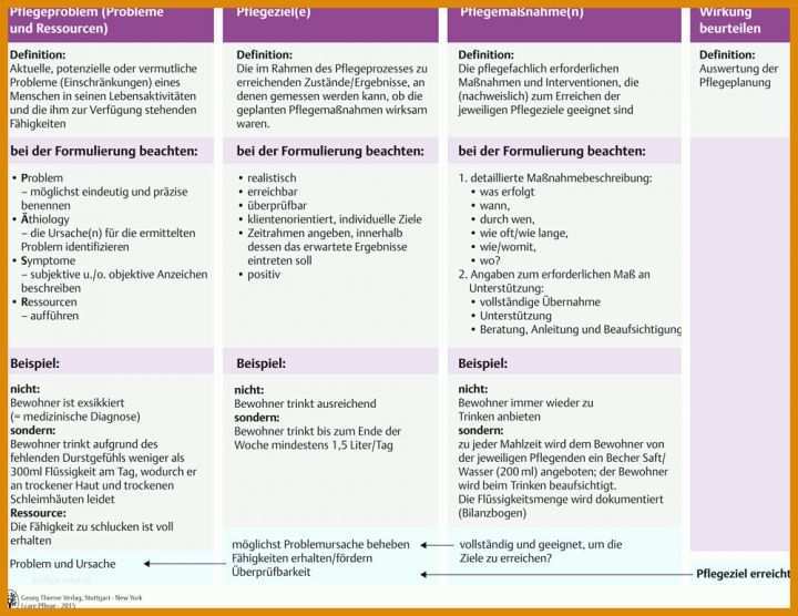 Faszinieren Pflegeplanung Vorlage 1000x772