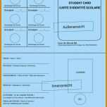 Ausnahmsweise Schülerausweis Vorlage 761x1080