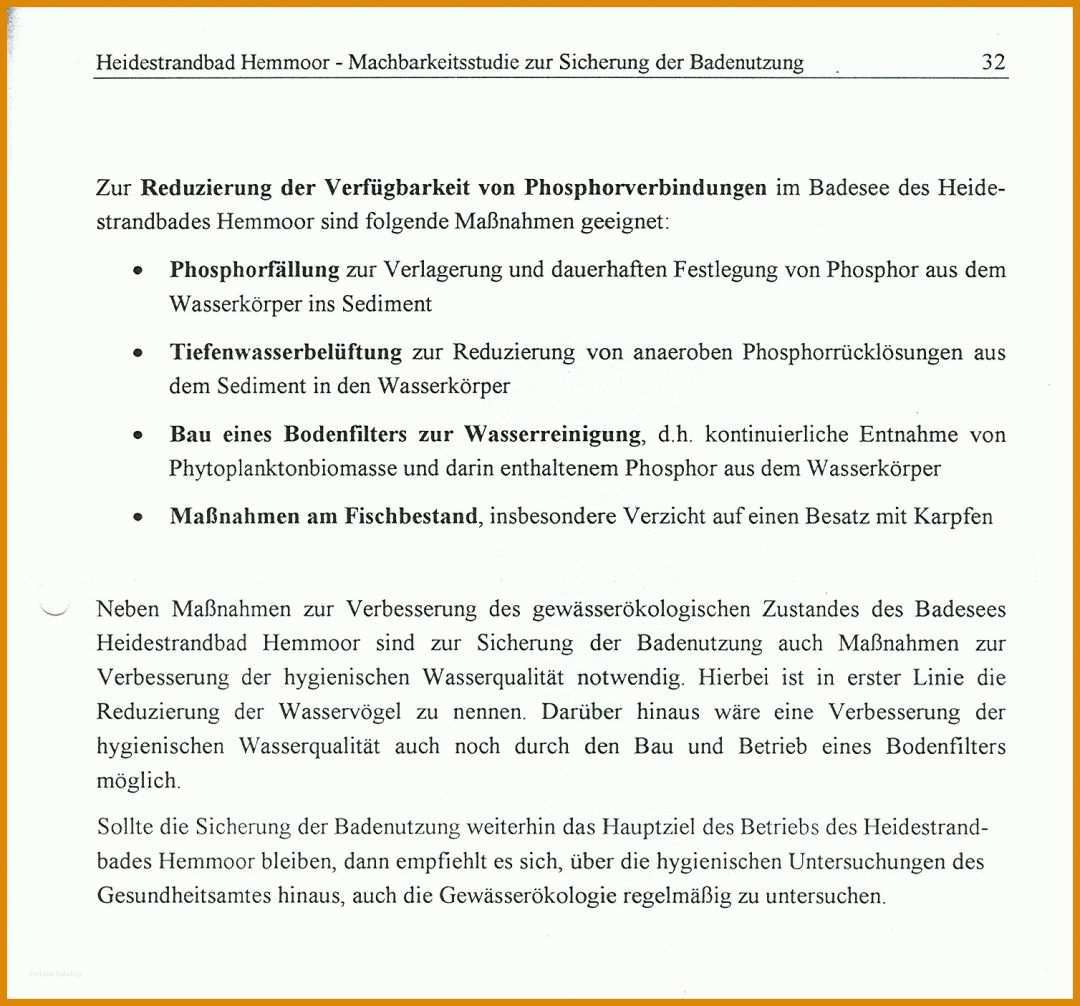 Überraschend Tätigkeitsbericht Vorlage Verein 1508x1405