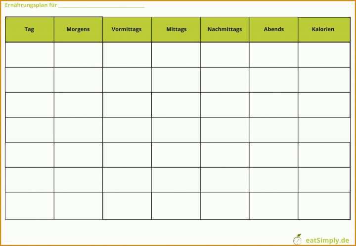 Trainingsplan Leere Vorlage 13 Trainingsplan Word Vorlage