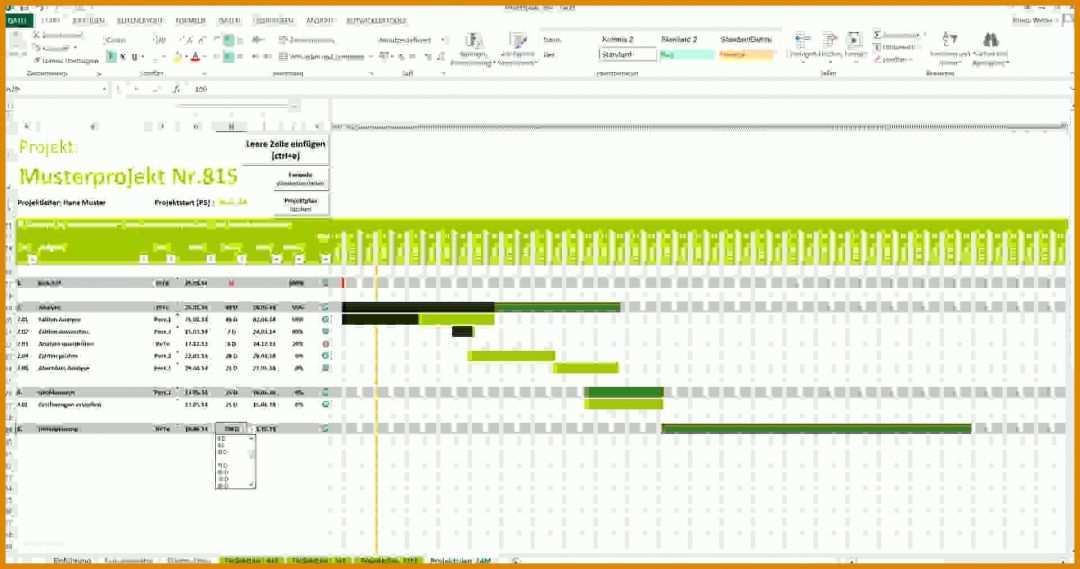 Singular Projektplan Excel Vorlage 2018 1922x1012