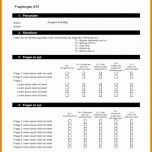 Einzahl Umfrage Vorlage Excel 868x1227