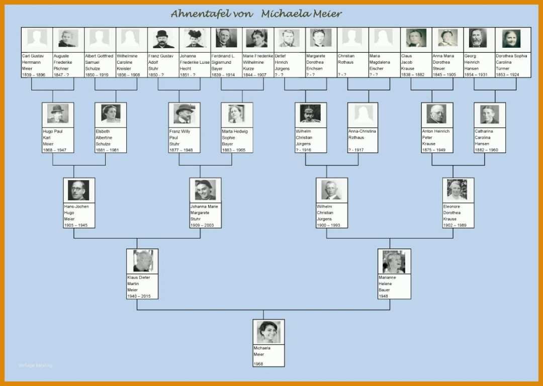 Erschwinglich Stammbaum Erstellen Vorlage 1182x842